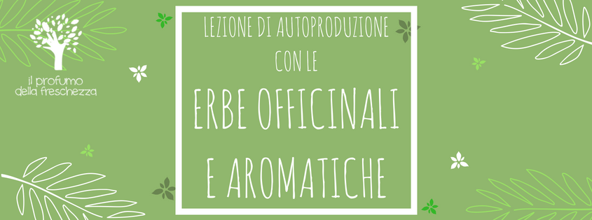 Lezione di autoproduzione con le erbe officinali e aromatiche