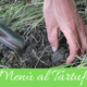 Menu al tartufo a rovigo