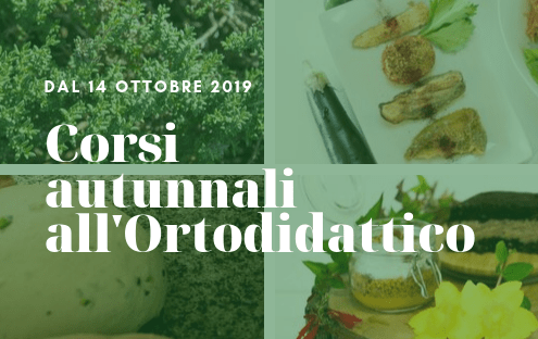 corsi autunno 2019 ortodidattico