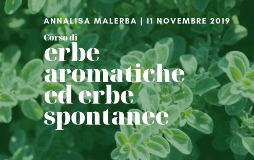 erbe spontanee d'autunno