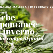 Erbe spontanee d’inverno Dal campo al piatto con Annalisa Malerba