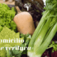 Consegne a domicilio prodotti biologici - 20 novembre 2020