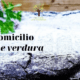 Consegna a domicilio - 13 febbraio 2021