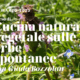 corso di cucina con erbe spontanee a Rovigo